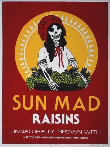 Esther Hernandez, Sun Mad Raisins, 1982